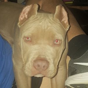 Meet your Posher, Janice